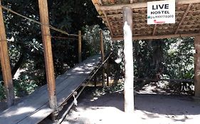 Live Hostel