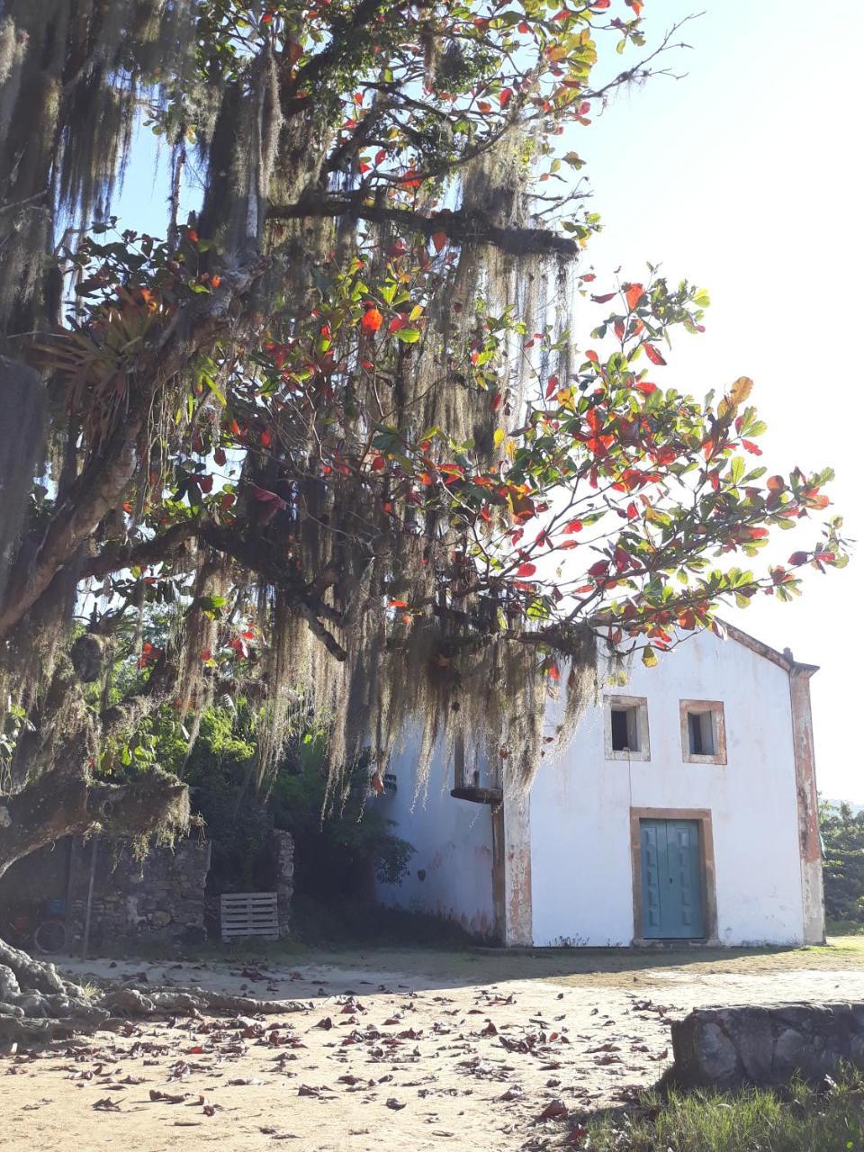 Live Hostel Paraty Exterior foto